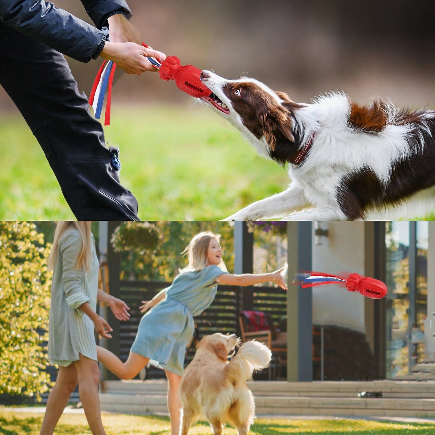 Interactive Dog Interactive Rubber Squeaky Dog Chew teeth cleaning Toy