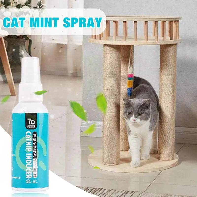 Catnip Spray For Cats Cat Happy Water Essential Oil Spray