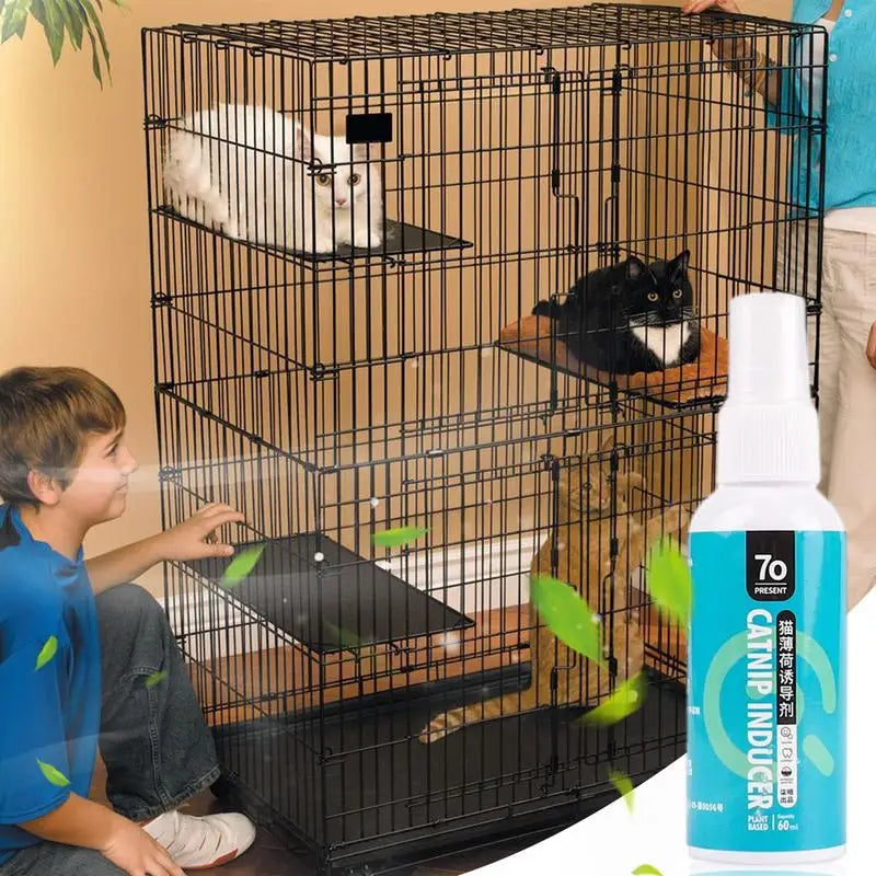 Catnip Spray For Cats Cat Happy Water Essential Oil Spray