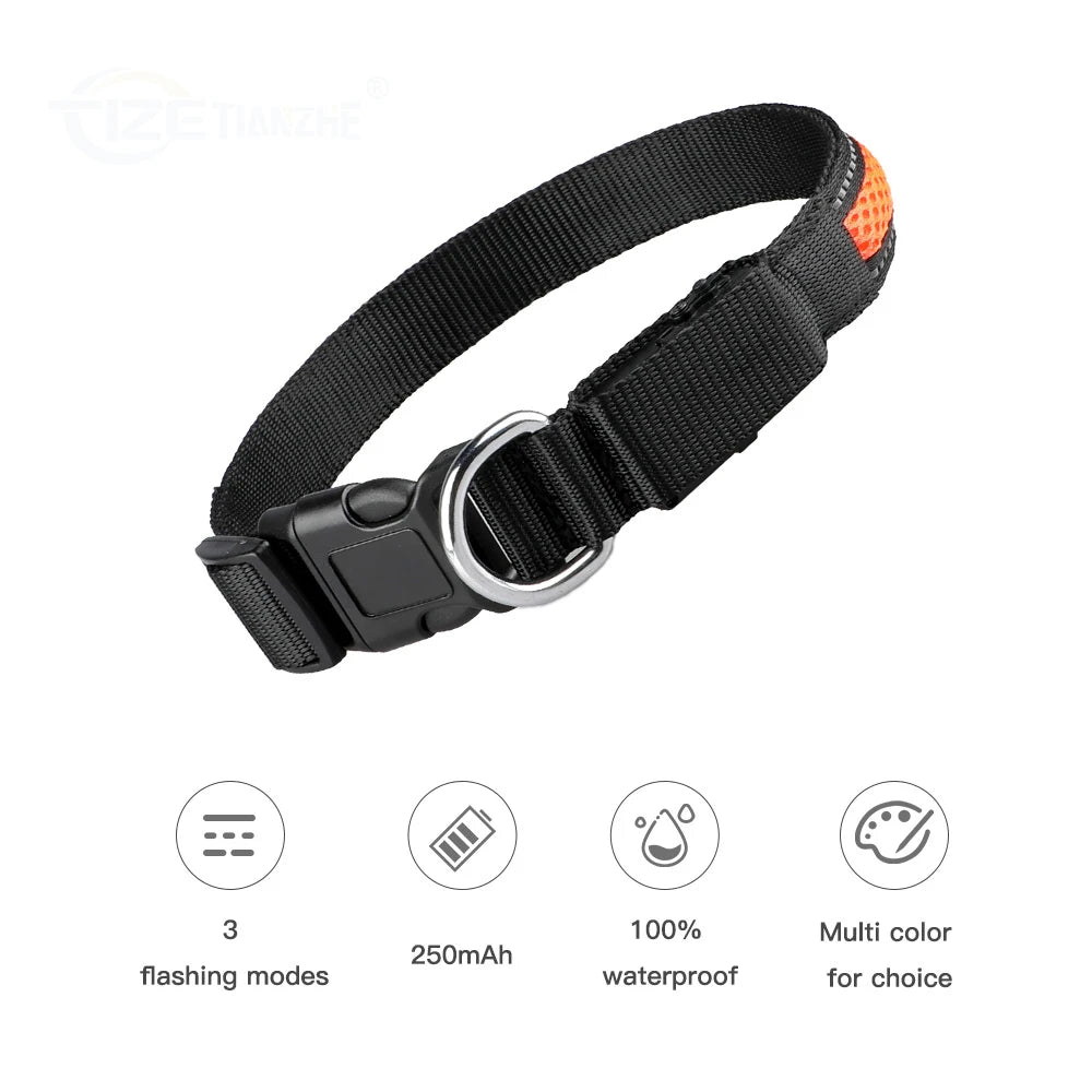 Nylon Flash Night Safety LED Glow Waterproof Dog Harness