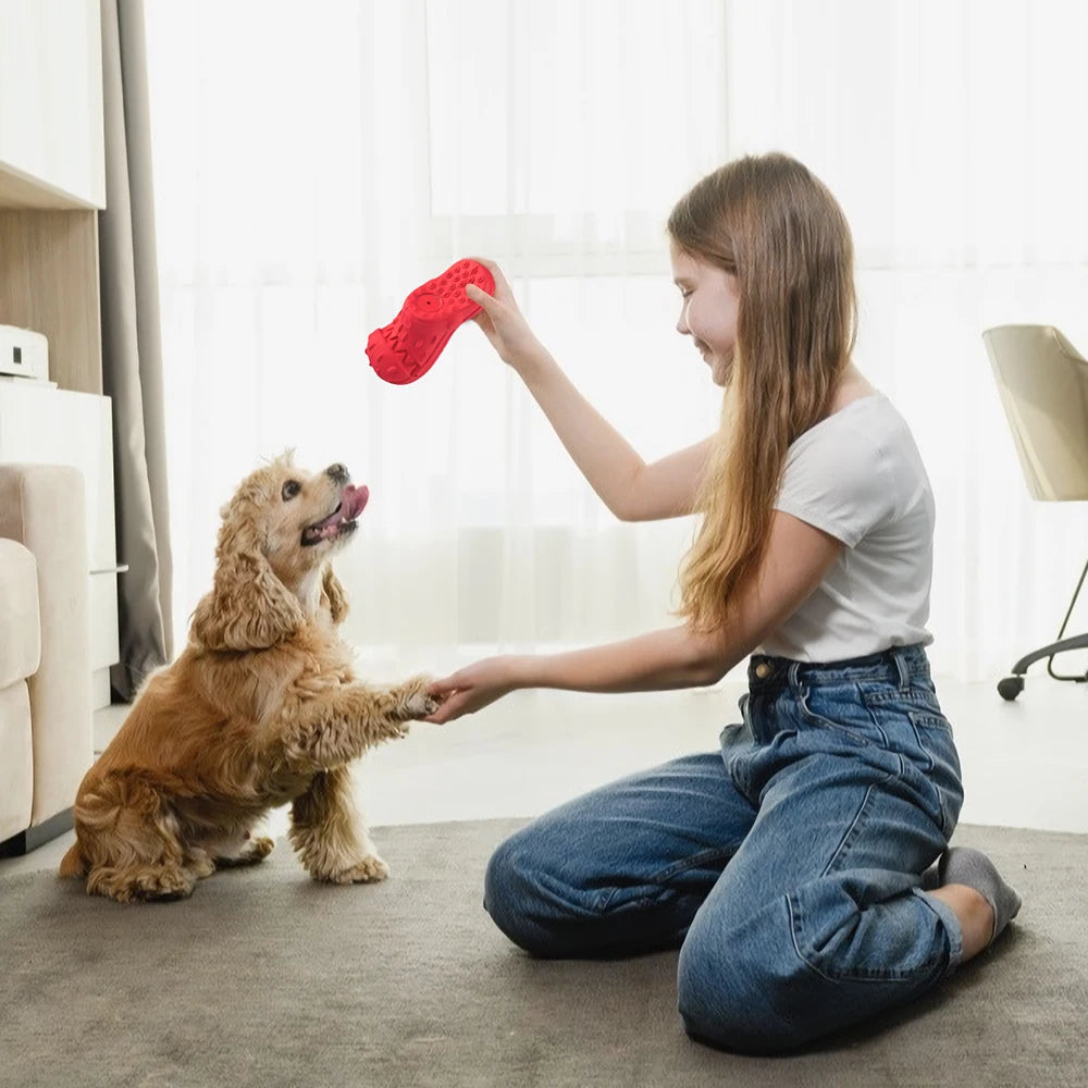 Dog Chew Toys Indestructible Large Breed Aggressive Teething Chewers