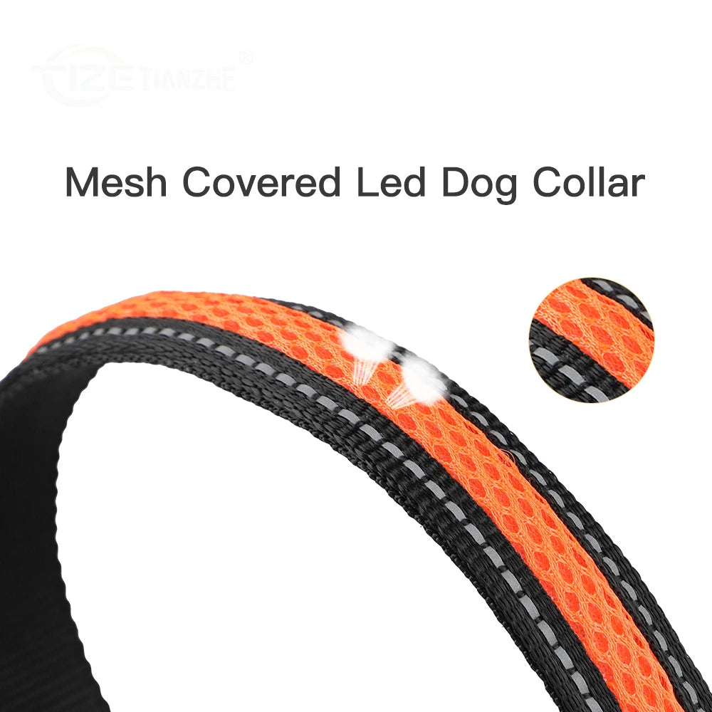 Nylon Flash Night Safety LED Glow Waterproof Dog Harness