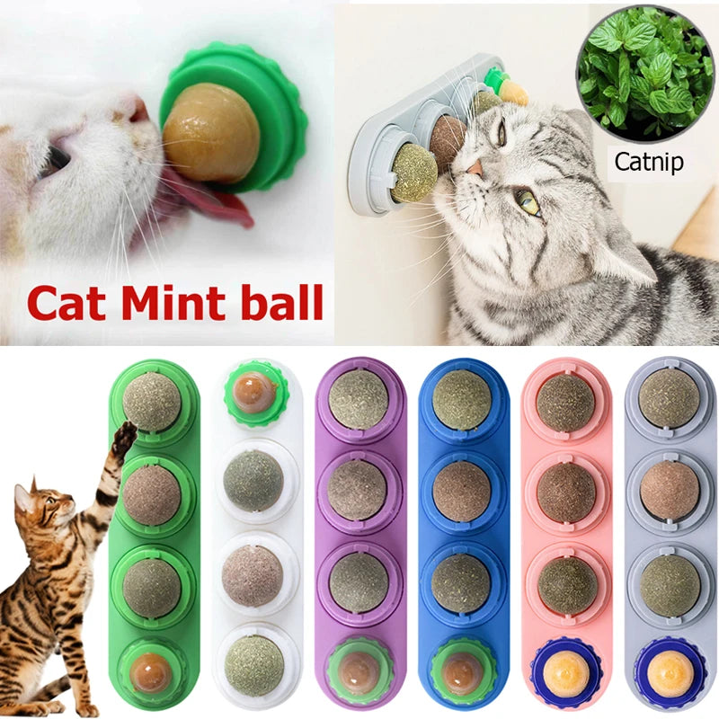 Natural Safety Pet Catnip Cleaning Teeth Toys For Cat.