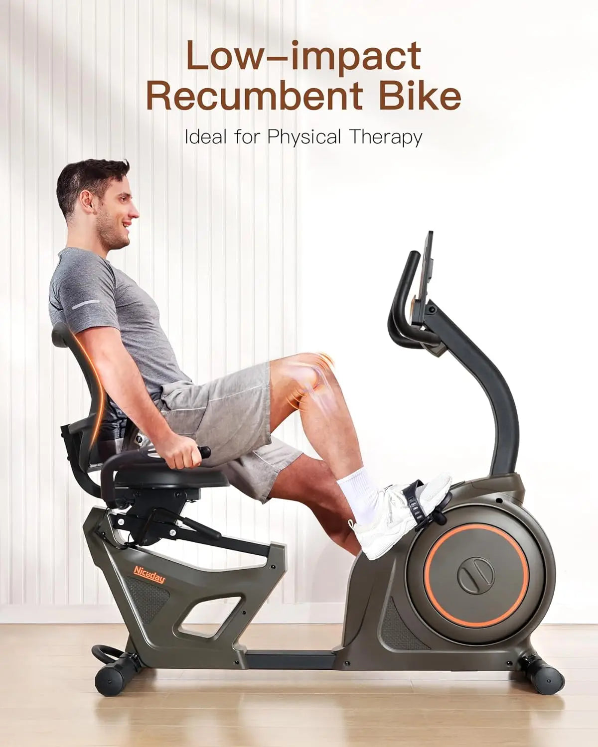 Indoor Recumbent Exercise Bike Workout Equipment for Home Gym