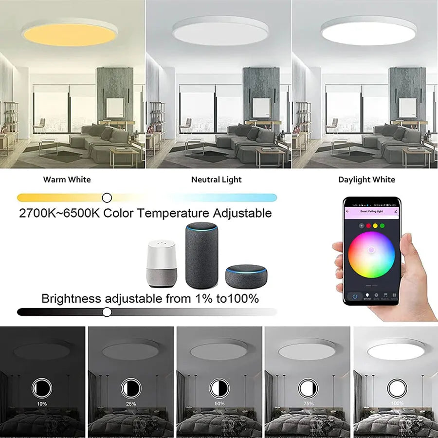 Bluetooth Smart Ceiling Light Voice Control Home Round Ceiling Chandelier