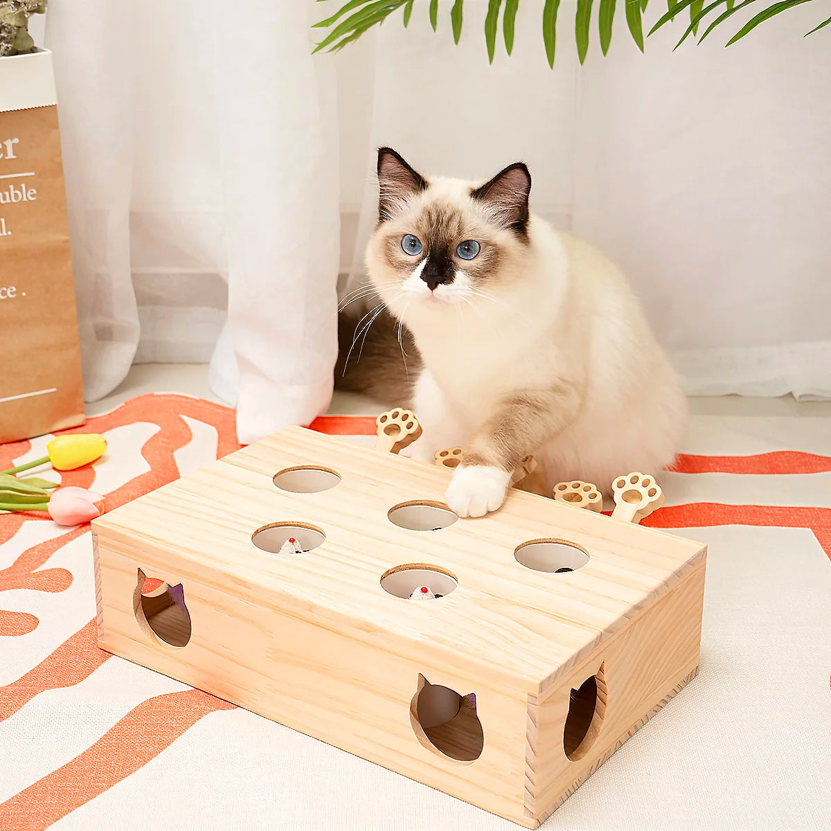 MewooFun Cat Toys Interactive Whack-a-mole Solid Wood Toys for Indoor Cats