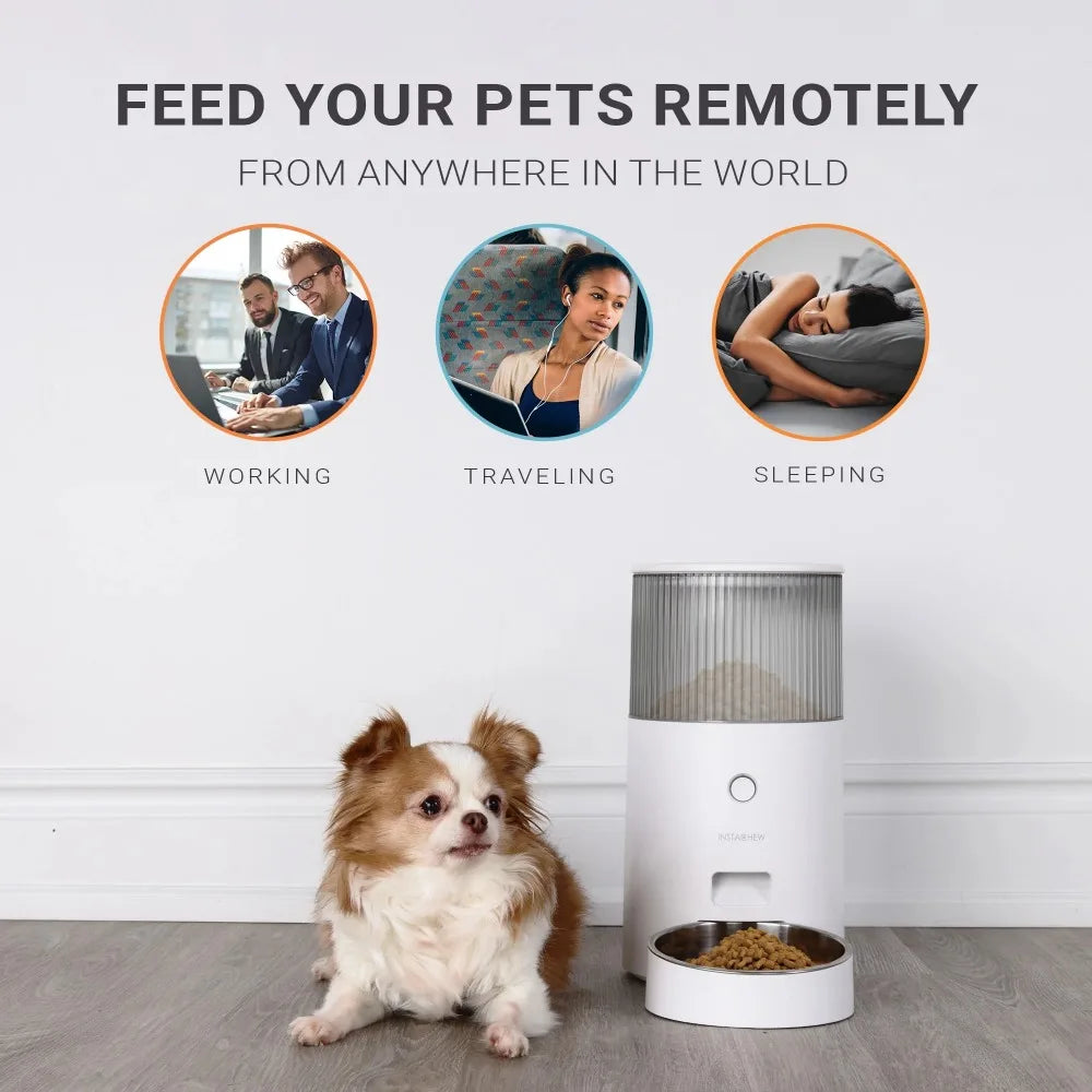 Automatic Feeder for Cats Toy for Dogs Portable Pet Drinker