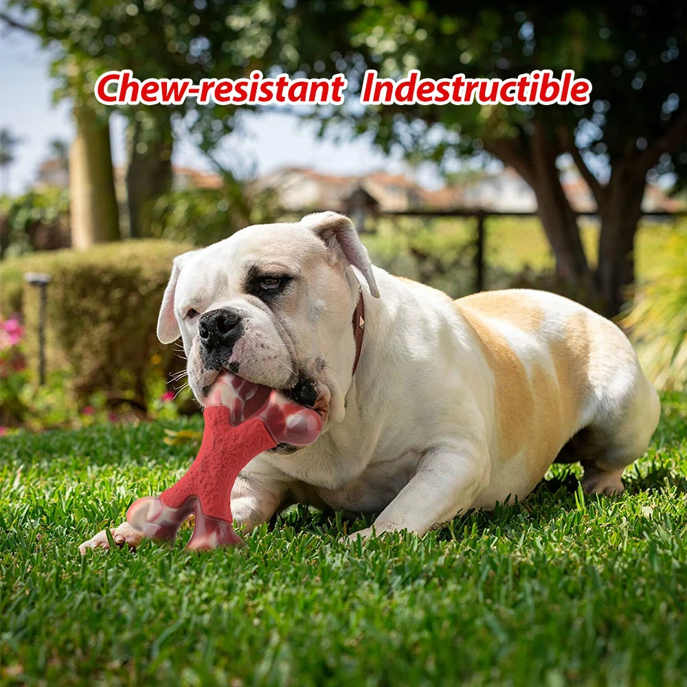 Pet Dog Chew Toy Durable Double Bone Rubber Interactive Toys