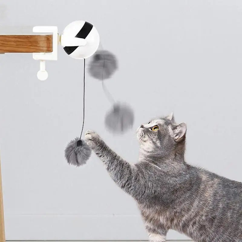 Automatic Lifting Toy Ball Smart Electric Training Toys for Cats