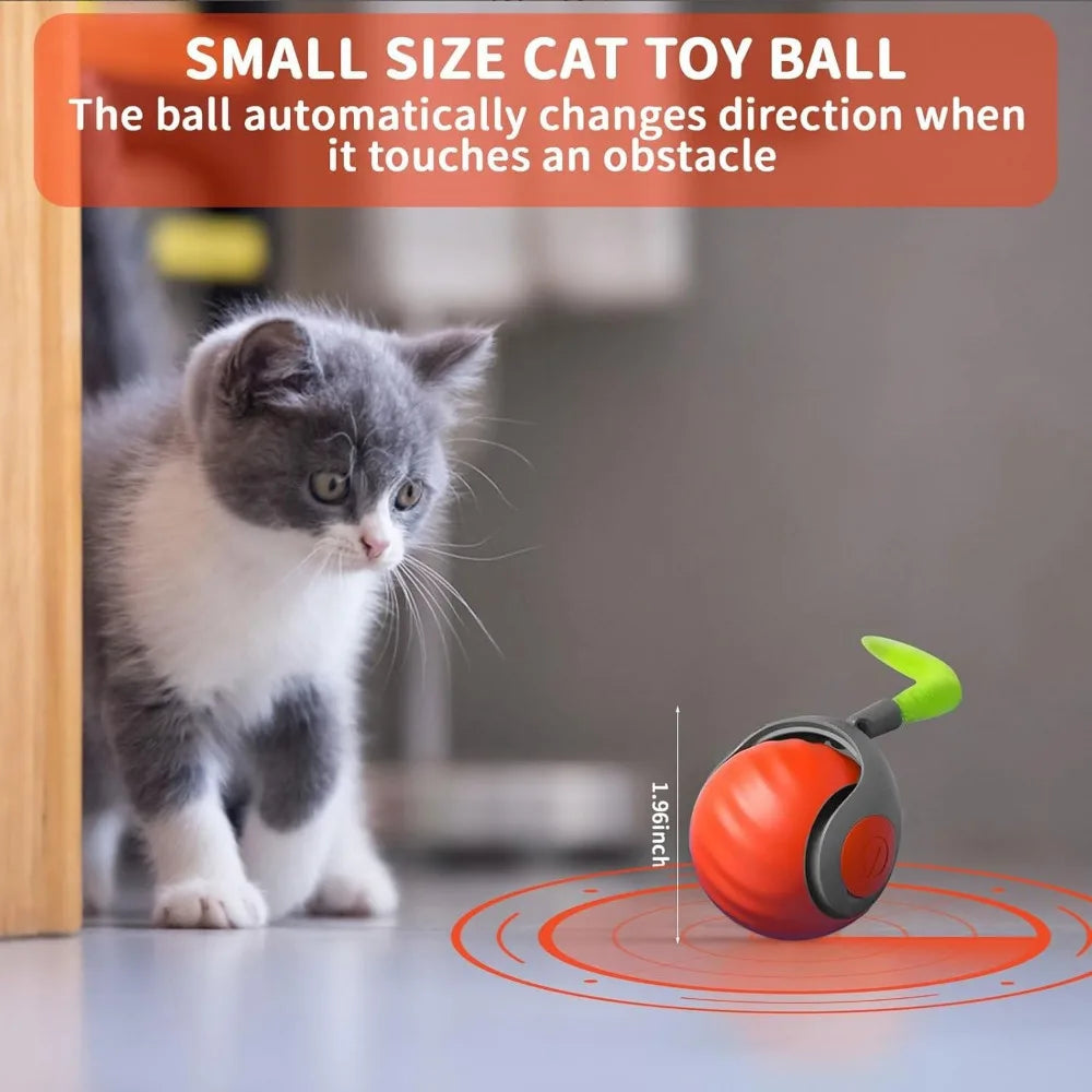 Interactive Cat Ball Toy with Feather, Smart Cat Toys