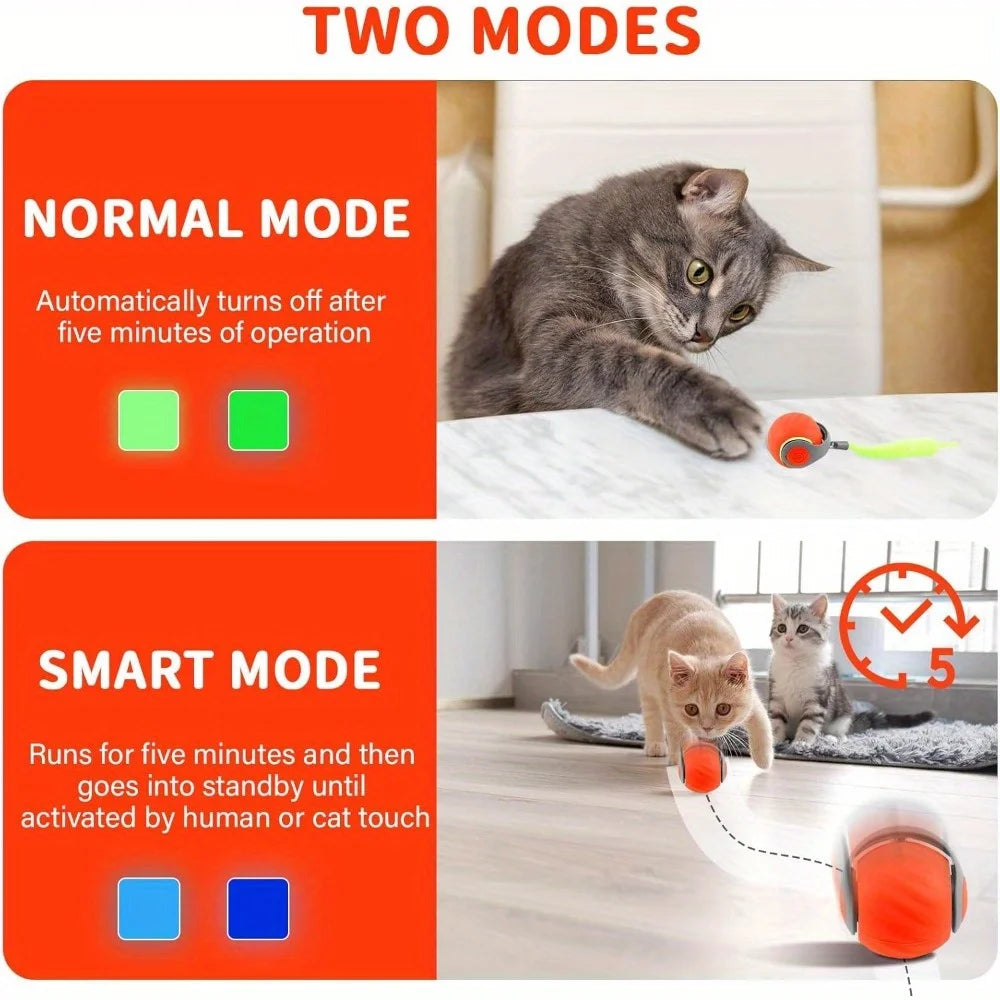 Interactive Cat Ball Toy with Feather, Smart Cat Toys