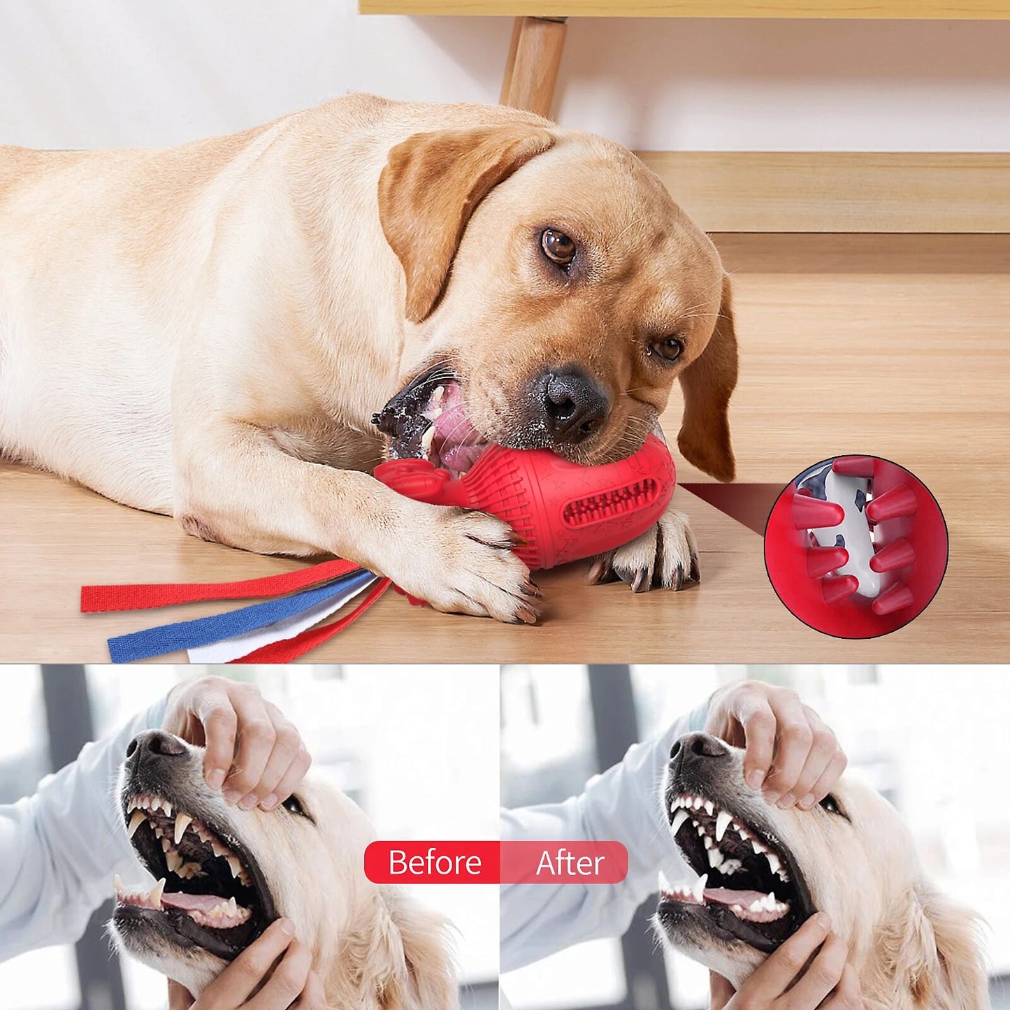 Interactive Dog  Interactive Rubber Squeaky Dog Chew teeth cleaning Toy